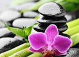 Acupuncture Center of New Jersey thumb 6